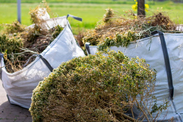 Best Shed Removal  in Decatur, IL